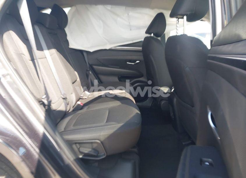 Photo 8 of 2023 Hyundai Tucson SEL (VIN 5NMJB3AE6PH243185)