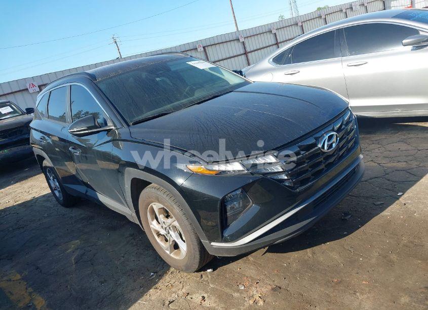 2023 Hyundai Tucson SEL (VIN 5NMJB3AE6PH247690) main photo