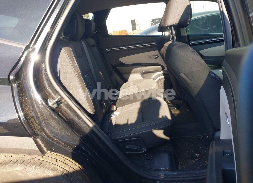 Photo 8 of 2023 Hyundai Tucson SEL (VIN 5NMJB3AE6PH247690)