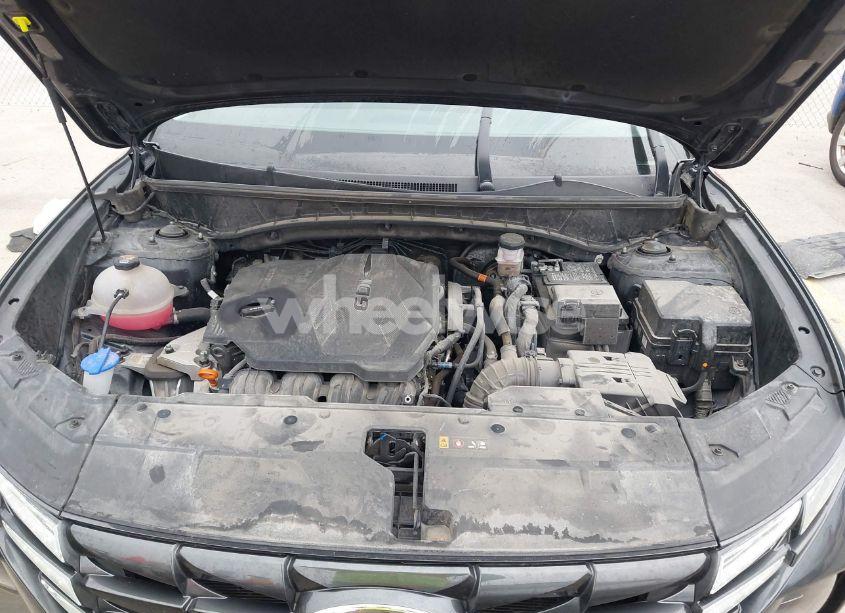 Photo 10 of 2023 Hyundai Tucson SEL (VIN 5NMJB3AE6PH266529)