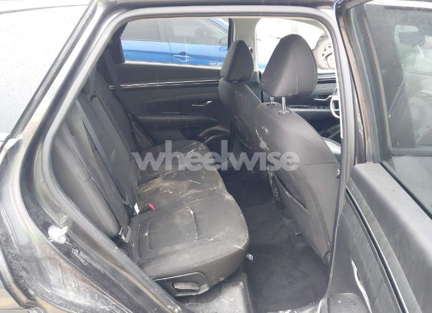Photo 8 of 2023 Hyundai Tucson SEL (VIN 5NMJB3AE6PH266529)
