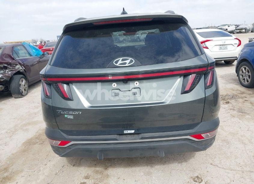 Photo 17 of 2023 Hyundai Tucson SEL (VIN 5NMJB3AE7PH198533)