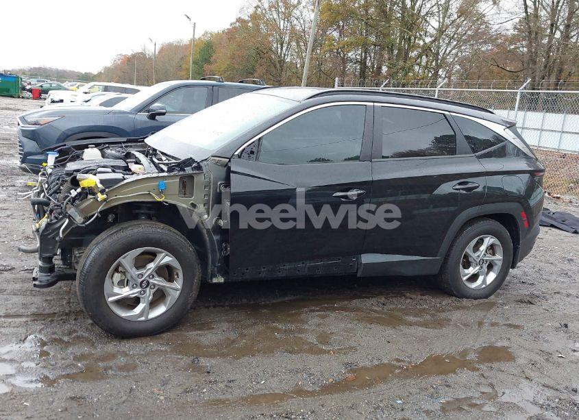 Photo 15 of 2023 Hyundai Tucson SEL (VIN 5NMJB3AE7PH206355)