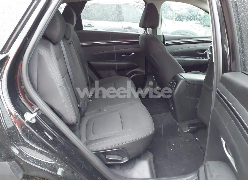 Photo 8 of 2023 Hyundai Tucson SEL (VIN 5NMJB3AE7PH206355)