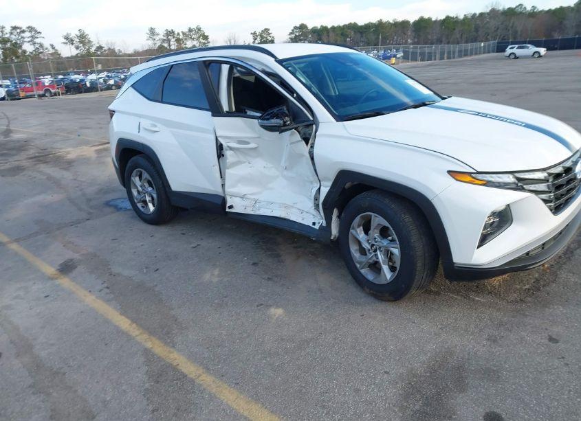 2023 Hyundai Tucson SEL (VIN 5NMJB3AE7PH246760) main photo