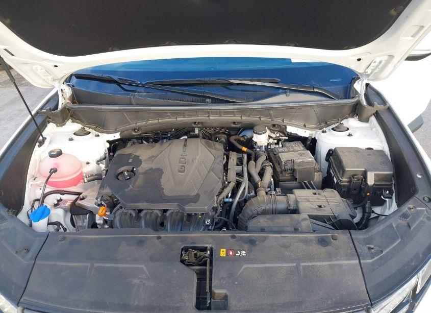 Photo 10 of 2023 Hyundai Tucson SEL (VIN 5NMJB3AE7PH246760)