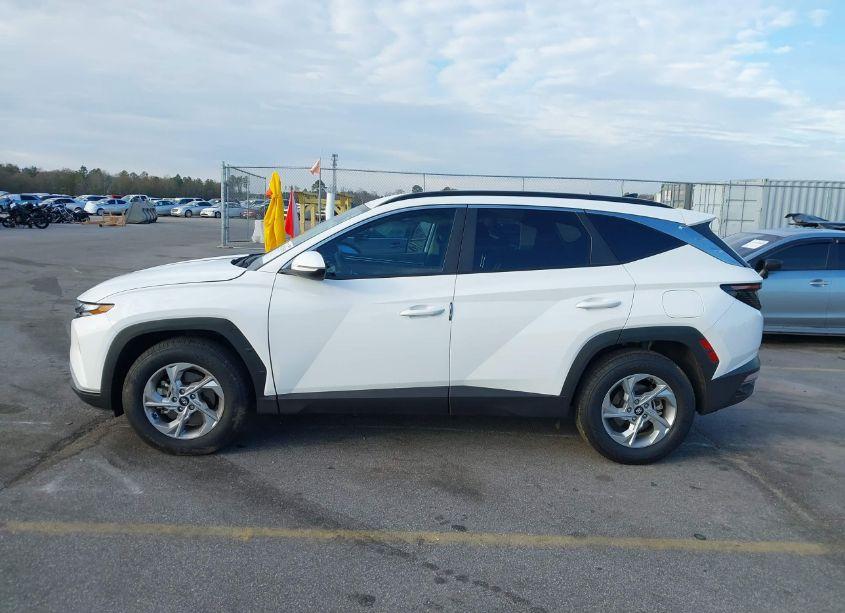 Photo 14 of 2023 Hyundai Tucson SEL (VIN 5NMJB3AE7PH246760)