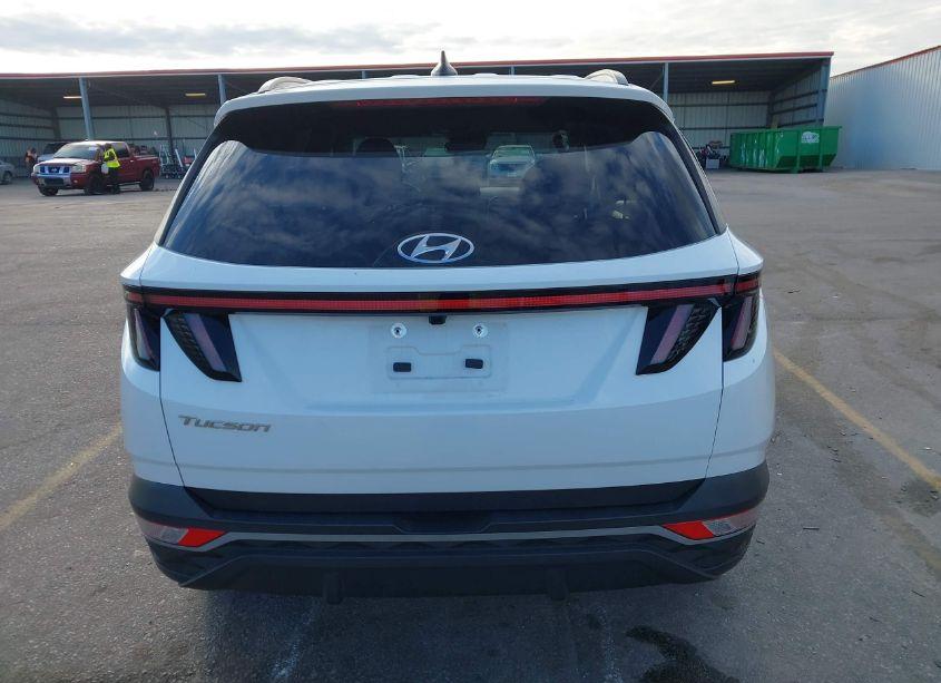 Photo 16 of 2023 Hyundai Tucson SEL (VIN 5NMJB3AE7PH246760)