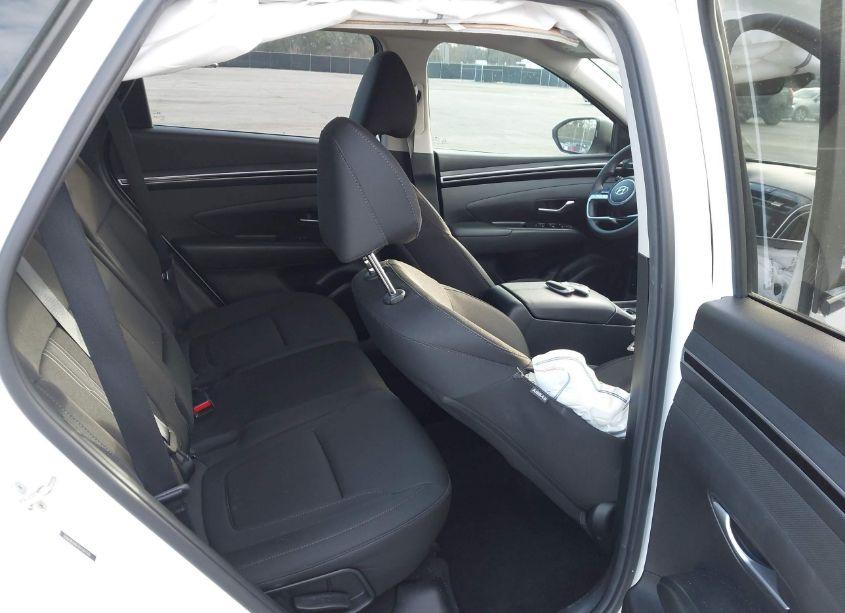 Photo 8 of 2023 Hyundai Tucson SEL (VIN 5NMJB3AE7PH246760)