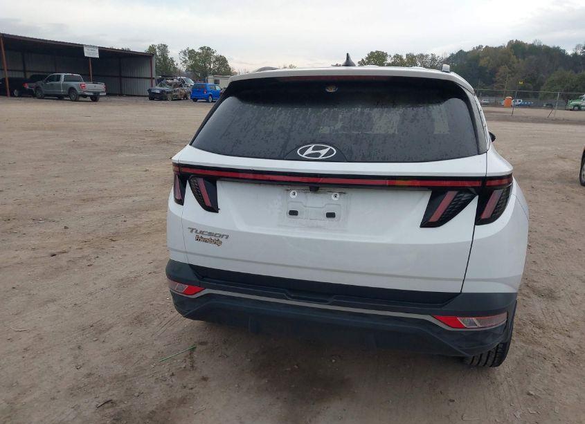 Photo 16 of 2022 Hyundai Tucson SEL (VIN 5NMJB3AE8NH035919)