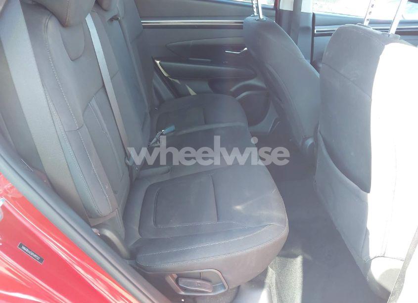 Photo 8 of 2023 Hyundai Tucson SEL (VIN 5NMJB3AE8PH192322)