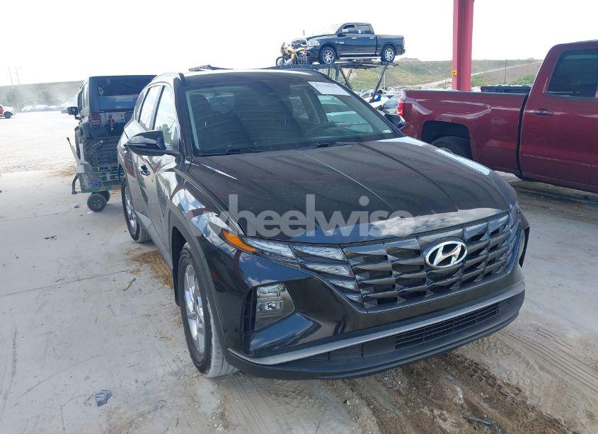 2023 Hyundai Tucson SEL (VIN 5NMJB3AE8PH230695) main photo