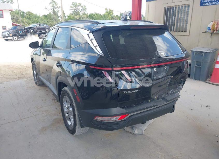 Photo 3 of 2023 Hyundai Tucson SEL (VIN 5NMJB3AE8PH230695)