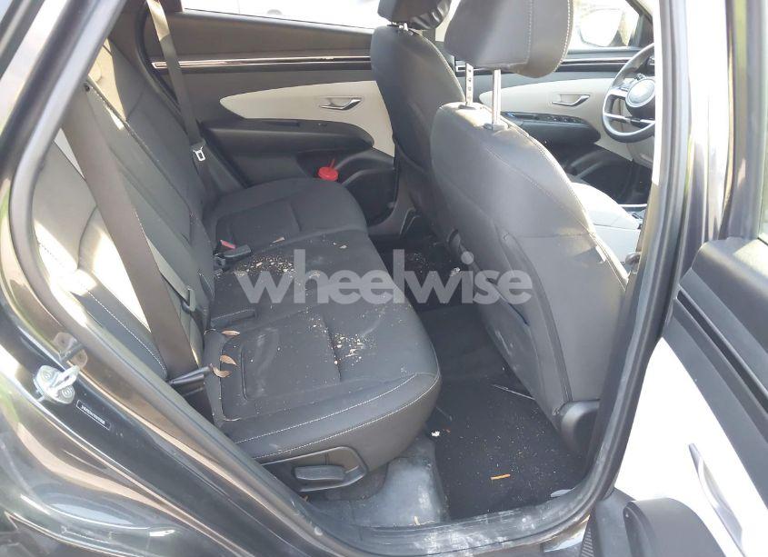 Photo 8 of 2022 Hyundai Tucson SEL (VIN 5NMJB3AE9NH111888)