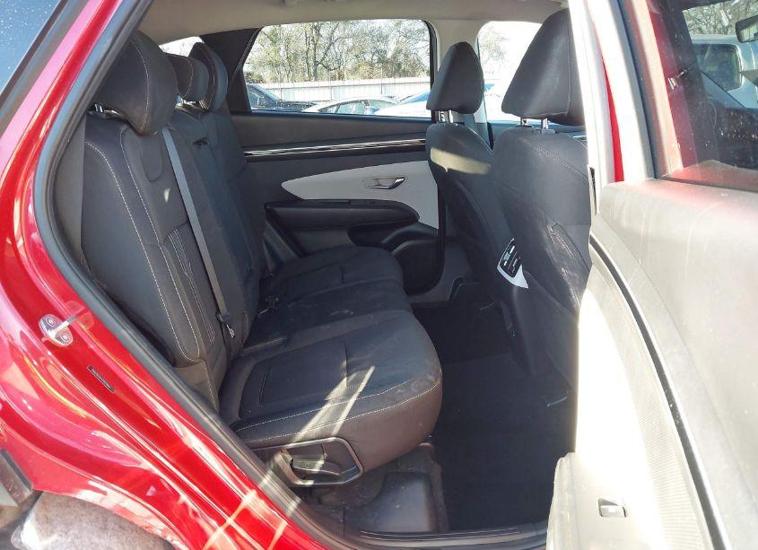 Photo 8 of 2023 Hyundai Tucson SEL (VIN 5NMJB3AEXPH211467)
