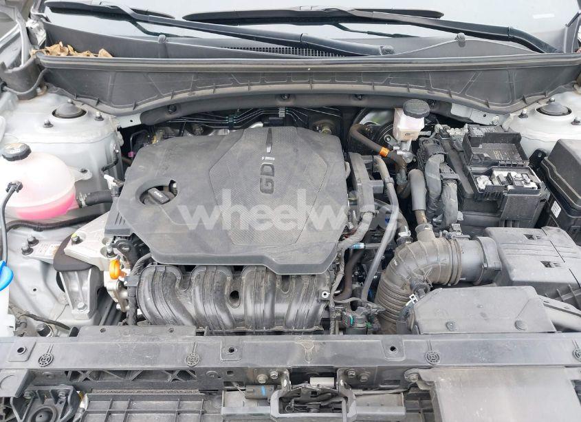 Photo 10 of 2024 Hyundai Tucson SEL (VIN 5NMJB3DE0RH300107)