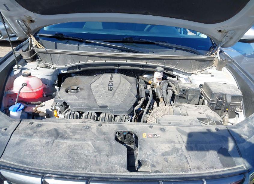 Photo 10 of 2024 Hyundai Tucson SEL (VIN 5NMJB3DE0RH309101)