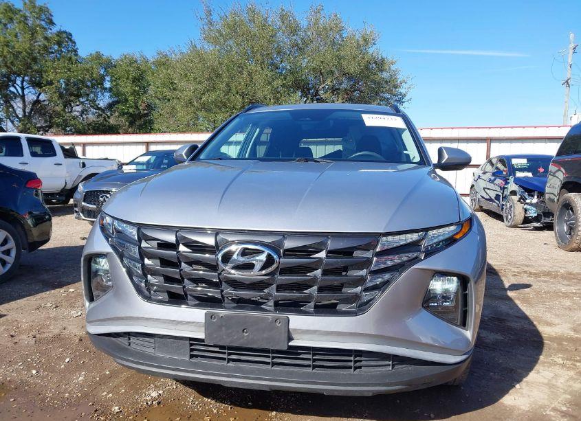 Photo 13 of 2024 Hyundai Tucson SEL (VIN 5NMJB3DE0RH309101)