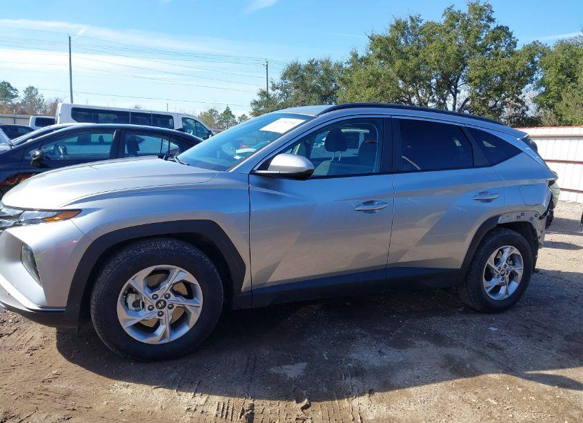 Photo 15 of 2024 Hyundai Tucson SEL (VIN 5NMJB3DE0RH309101)
