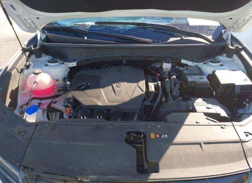 Photo 10 of 2024 Hyundai Tucson SEL (VIN 5NMJB3DE0RH355351)