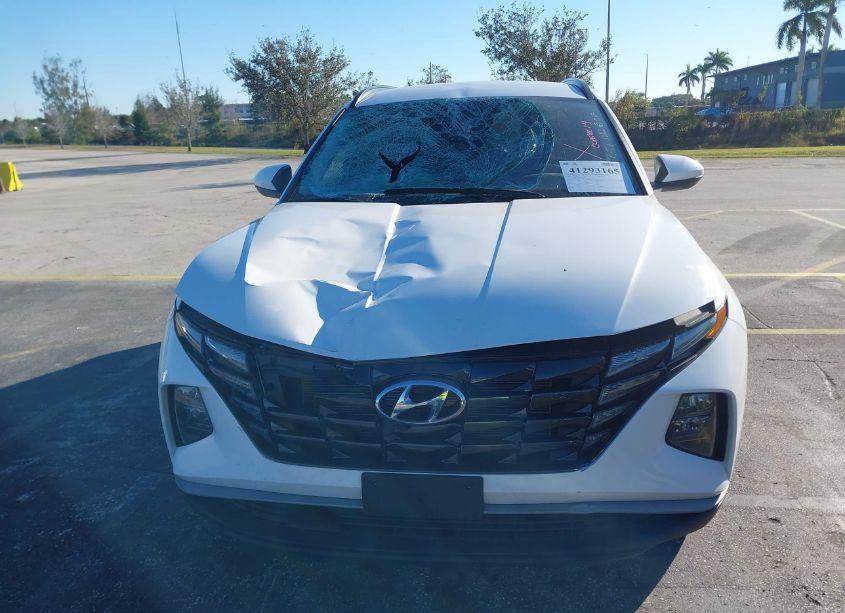 Photo 12 of 2024 Hyundai Tucson SEL (VIN 5NMJB3DE0RH355351)