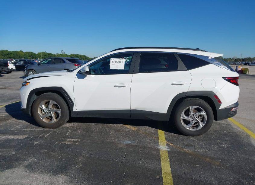 Photo 14 of 2024 Hyundai Tucson SEL (VIN 5NMJB3DE0RH355351)