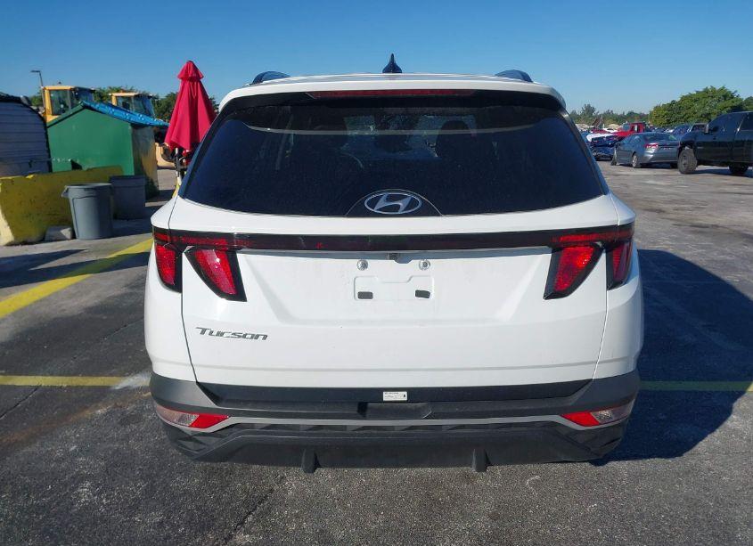 Photo 16 of 2024 Hyundai Tucson SEL (VIN 5NMJB3DE0RH355351)