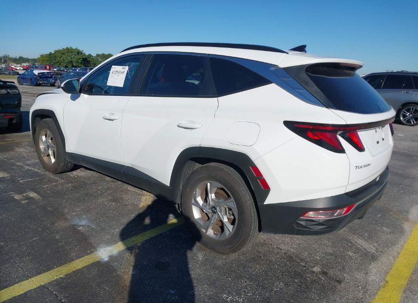 Photo 3 of 2024 Hyundai Tucson SEL (VIN 5NMJB3DE0RH355351)