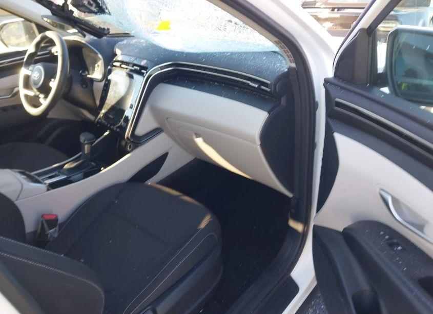 Photo 5 of 2024 Hyundai Tucson SEL (VIN 5NMJB3DE0RH355351)