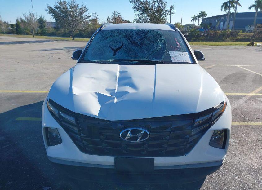 Photo 6 of 2024 Hyundai Tucson SEL (VIN 5NMJB3DE0RH355351)