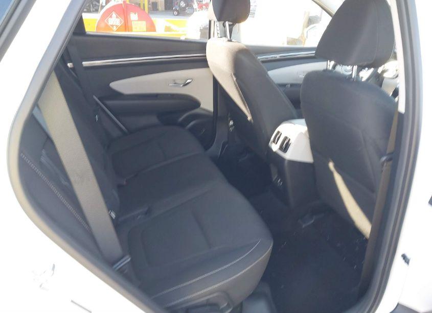 Photo 8 of 2024 Hyundai Tucson SEL (VIN 5NMJB3DE0RH355351)