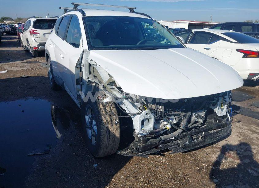 2024 Hyundai Tucson SEL (VIN 5NMJB3DE0RH399995) main photo