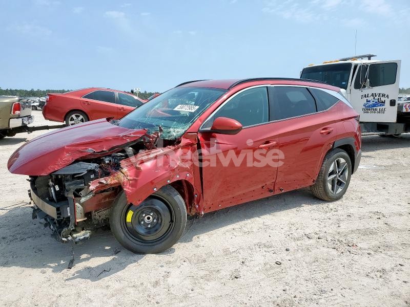 Photo 11 of 2025 HYUNDAI TUCSON SEL (VIN 5NMJB3DE0SH487614)