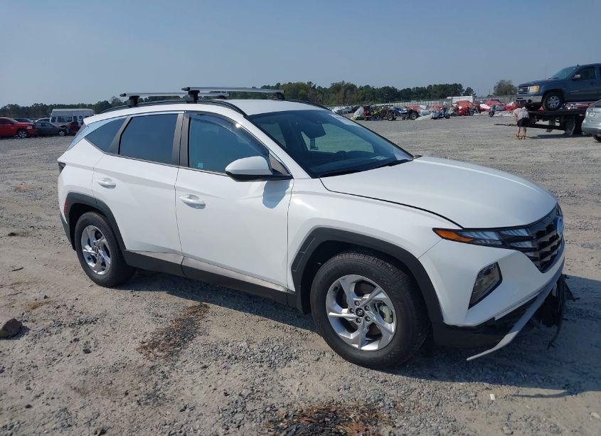 2024 Hyundai Tucson SEL (VIN 5NMJB3DE1RH301265) main photo