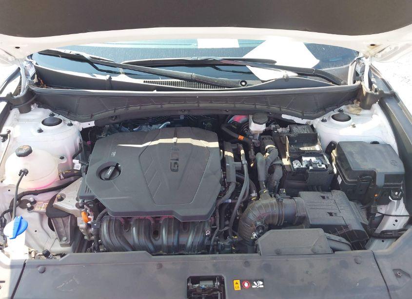 Photo 10 of 2024 Hyundai Tucson SEL (VIN 5NMJB3DE1RH301265)