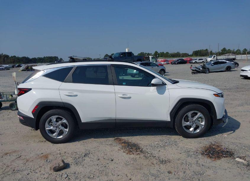 Photo 13 of 2024 Hyundai Tucson SEL (VIN 5NMJB3DE1RH301265)
