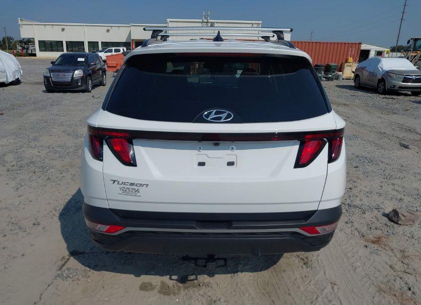 Photo 16 of 2024 Hyundai Tucson SEL (VIN 5NMJB3DE1RH301265)