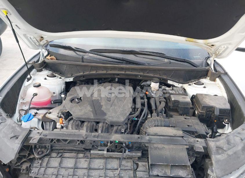 Photo 10 of 2024 Hyundai Tucson SEL (VIN 5NMJB3DE1RH311620)
