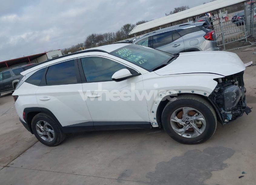 Photo 14 of 2024 Hyundai Tucson SEL (VIN 5NMJB3DE1RH311620)