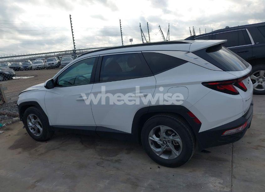 Photo 15 of 2024 Hyundai Tucson SEL (VIN 5NMJB3DE1RH311620)
