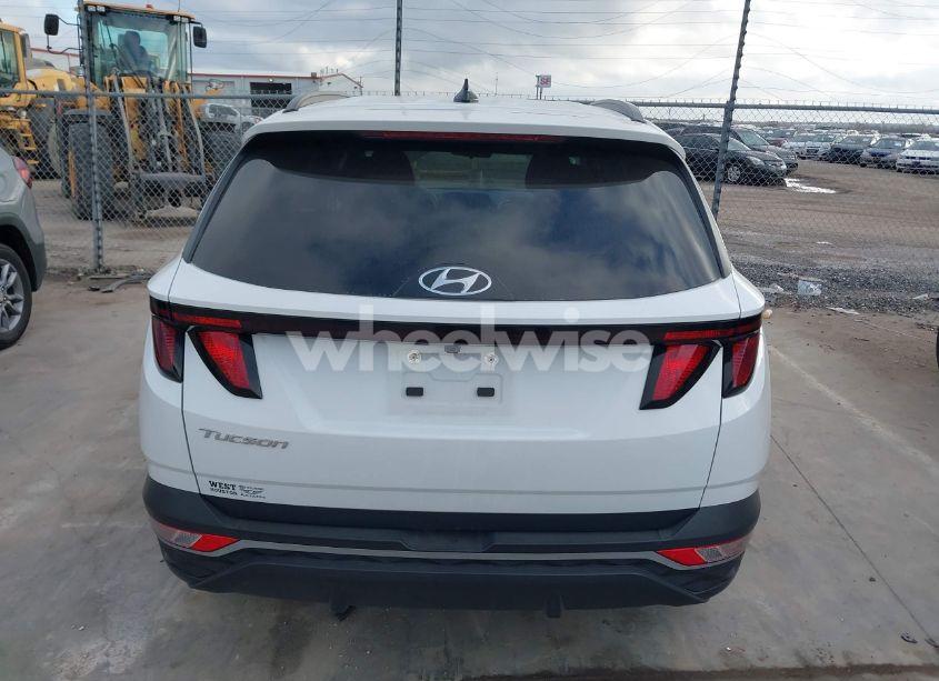Photo 17 of 2024 Hyundai Tucson SEL (VIN 5NMJB3DE1RH311620)