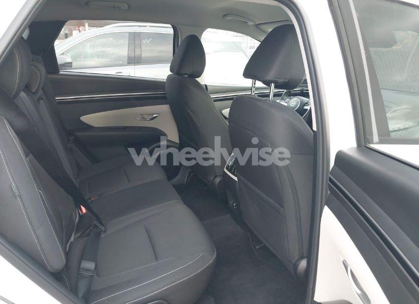 Photo 8 of 2024 Hyundai Tucson SEL (VIN 5NMJB3DE1RH311620)