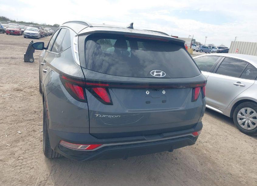 Photo 16 of 2024 Hyundai Tucson SEL (VIN 5NMJB3DE1RH315988)
