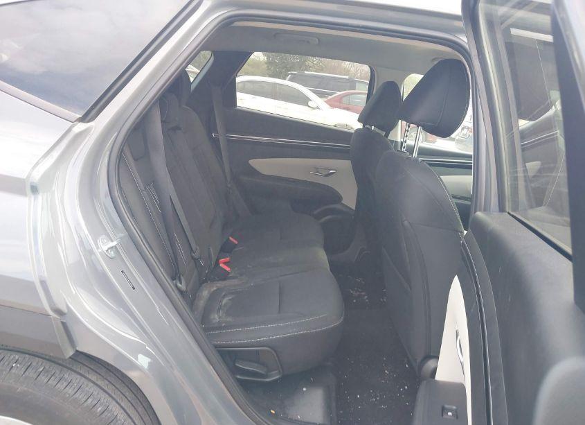 Photo 8 of 2024 Hyundai Tucson SEL (VIN 5NMJB3DE1RH315988)