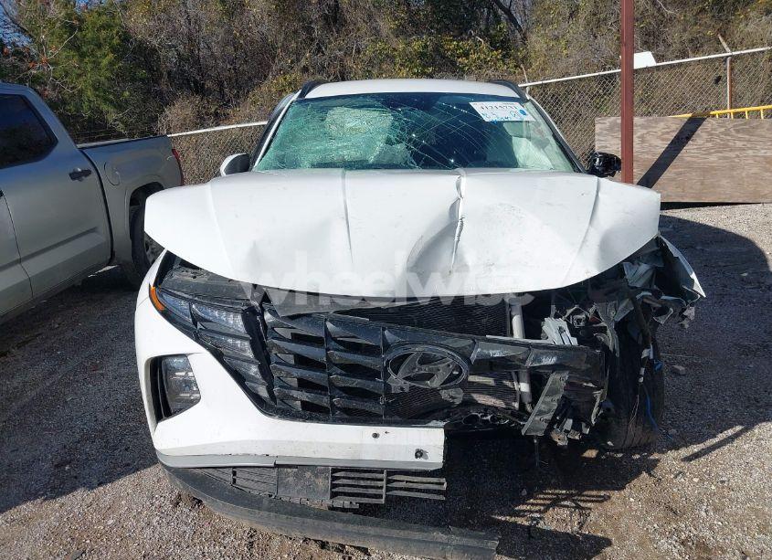 Photo 12 of 2024 Hyundai Tucson SEL (VIN 5NMJB3DE1RH325422)