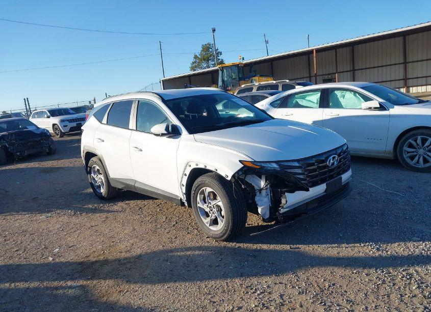 2024 Hyundai Tucson SEL (VIN 5NMJB3DE1RH329163) main photo