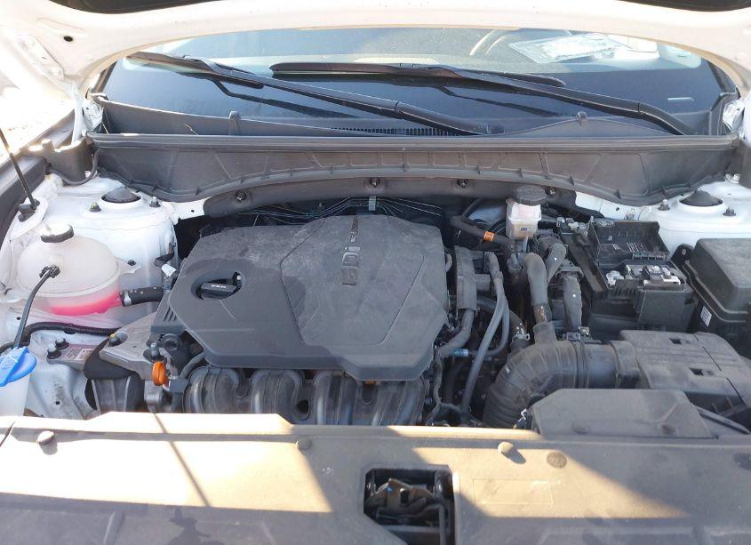 Photo 10 of 2024 Hyundai Tucson SEL (VIN 5NMJB3DE1RH329163)