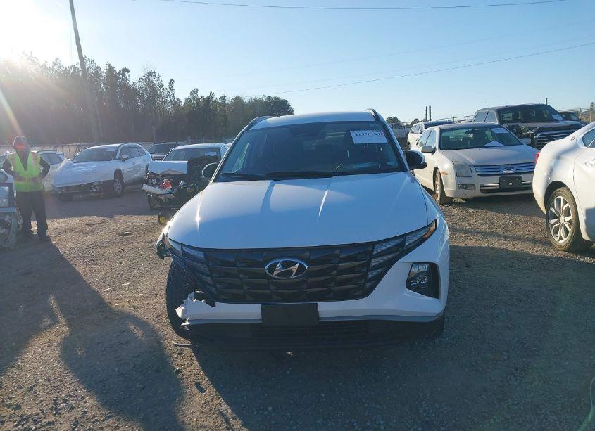 Photo 12 of 2024 Hyundai Tucson SEL (VIN 5NMJB3DE1RH329163)