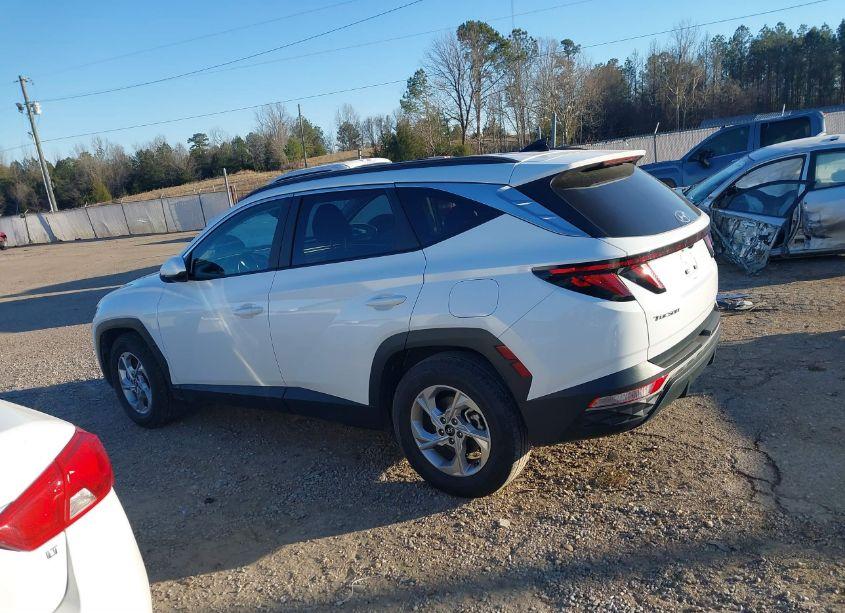 Photo 14 of 2024 Hyundai Tucson SEL (VIN 5NMJB3DE1RH329163)