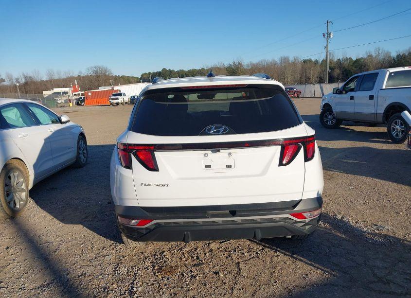 Photo 16 of 2024 Hyundai Tucson SEL (VIN 5NMJB3DE1RH329163)